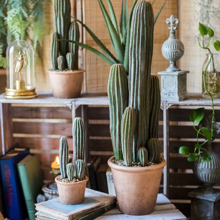 Faux Cactus Plant in Terracotta Pot